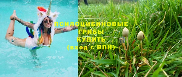 метадон Алексеевка