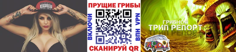 Галлюциногенные грибы GOLDEN TEACHER Петрозаводск