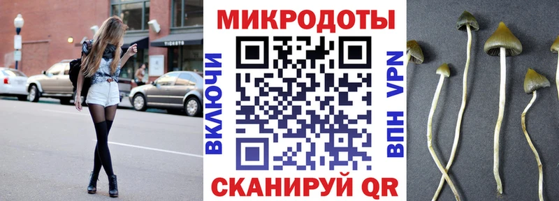 Псилоцибиновые грибы мицелий  Петрозаводск 