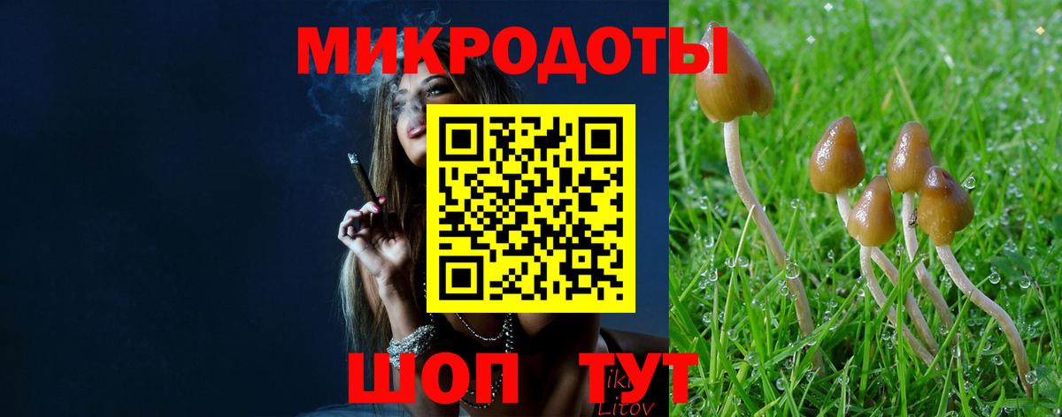Петрозаводск  Псилоцибиновые грибы прущие грибы  Вход с VPN 